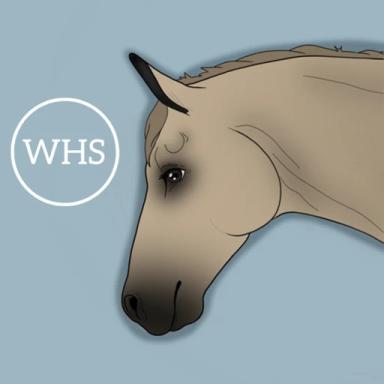 Thumbnail for Wild Heart Stables Game