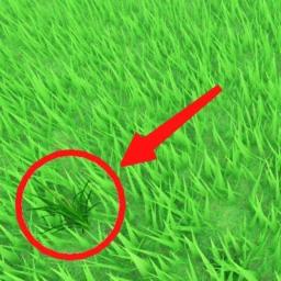 Be Grass icon