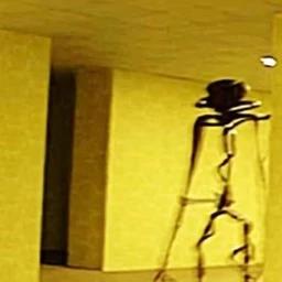SCP  icon