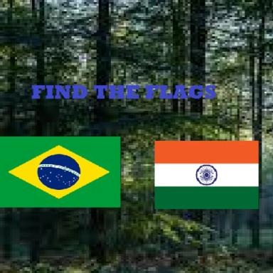 Thumbnail for find the flags (166) Game