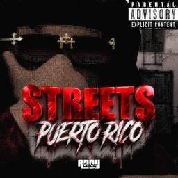 🩸 | STREETS PUERTO RICO 🌴 icon