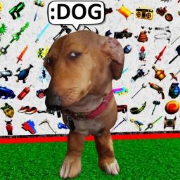[FREE ADMIN] icon