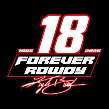 NASCAR Unleashed [REMASTERED] icon