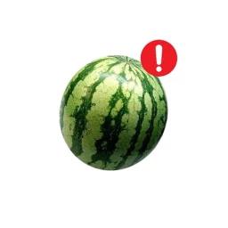 Thumbnail for watermelon! Game