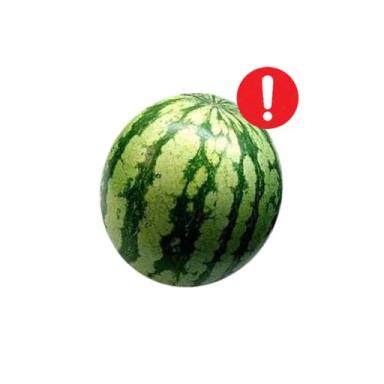 Thumbnail for [UPD] watermelon! Game