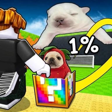 Thumbnail for Kick a Lucky Block for Pibbles! Game