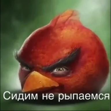 Thumbnail for Сидим не рыпаемся [Obby] Game