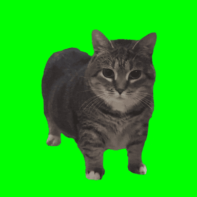 OIIA OIIA party icon