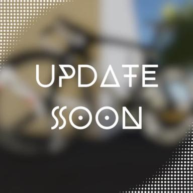 [UPD SOON] Fixie Viet Nam icon