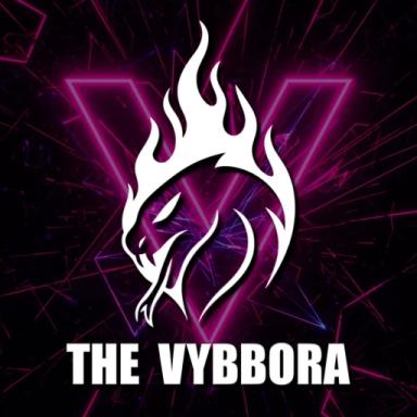 THE VYBBORA icon