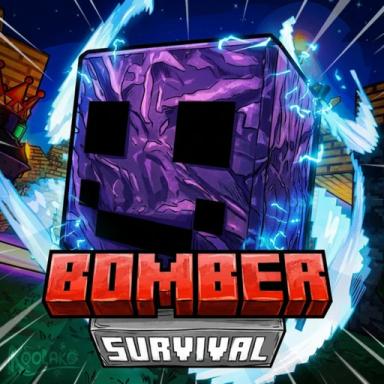 Bomber survival [Beta] icon