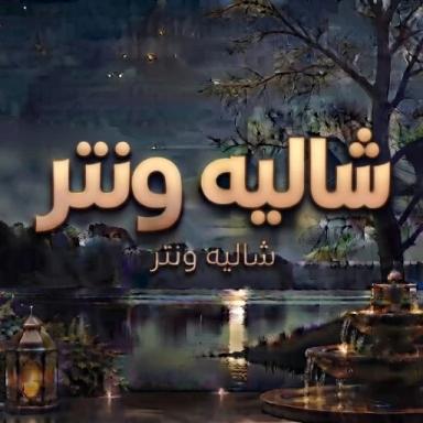 Thumbnail for شالية ونتر Game