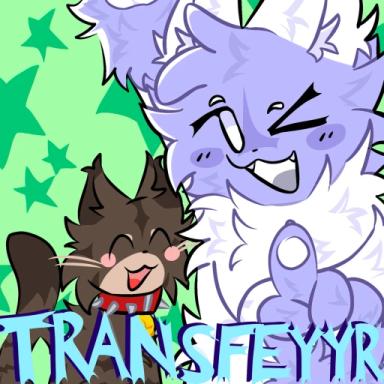 Thumbnail for TIS: The Transfeyyr Game