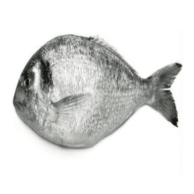 Be a One Pound Fish🐟 icon