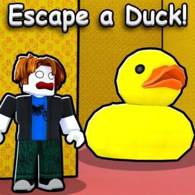 Duck Escape icon