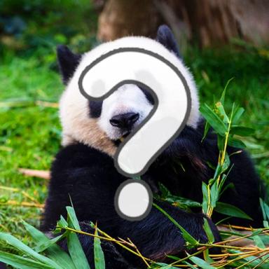 🦒Animals Quiz! icon