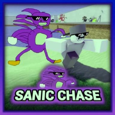 Thumbnail for Sanic Chase 🏃 Game