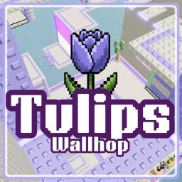 [CARRY] Tulips Wallhop Tower icon