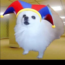 Amazing Circus Dog Meme Backrooms icon