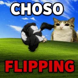 [Update] CHOSO FLIPPING EXPERIENCE icon