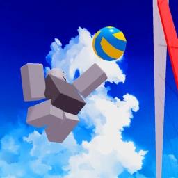 🏐 DOUBLES VOLLEYBALL icon