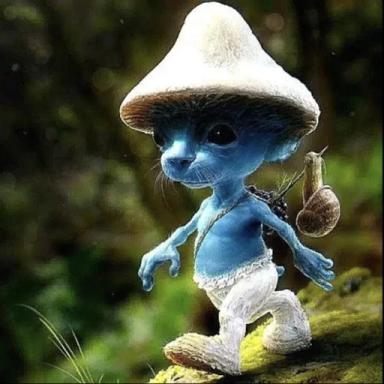 SMURF CAT GAME icon