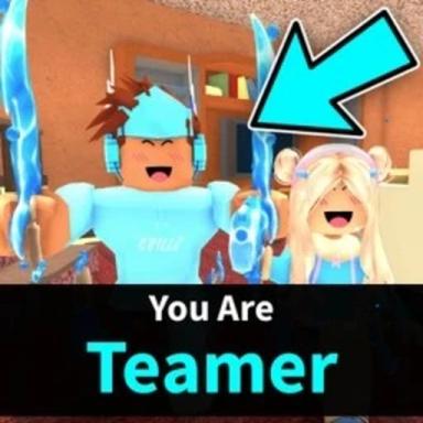 Thumbnail for 🩵 TEAMERZ Game