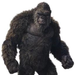 Kong icon
