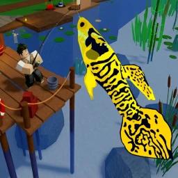 [UPD 48] Catch ’n Collect 🎣  icon