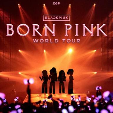 BLACKPINK - BORN PINK WORLD TOUR icon