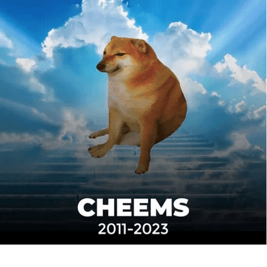 Thumbnail for [En proceso] R.I.P Cheems Game