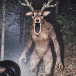 Enter 99 Nights Deer icon