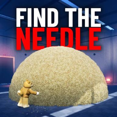 Thumbnail for Needle In A Haystack Game