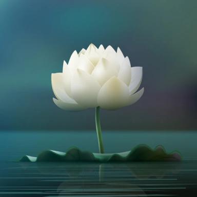 [PARADISE] Visit Pagoda Online ~ Viếng Chùa🙏🏻🌸 icon