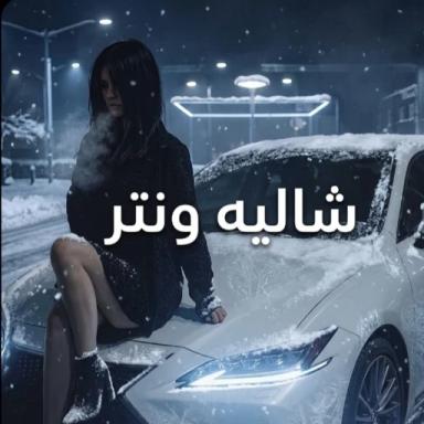 شاليه ونتر (العوده)  icon