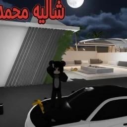 شاليه محمد (الأصلي) icon