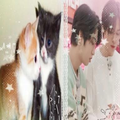Thumbnail for Minsung SKZ Obby Game