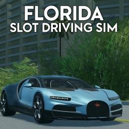 Florida Driving Sim icon
