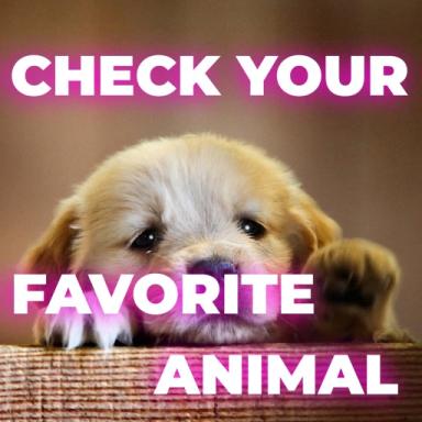 Thumbnail for 📖Favorite Animal Test🦊 Game