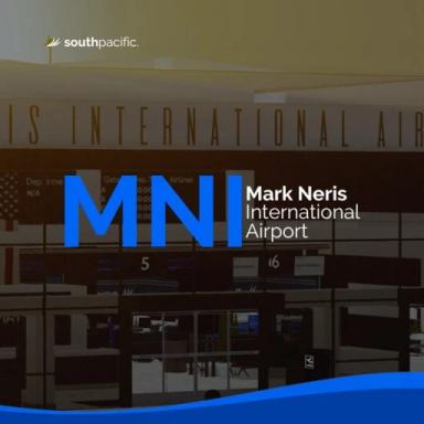 Mark Neris International Airport icon