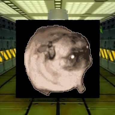Dancing Pug Meme In Area 51 icon
