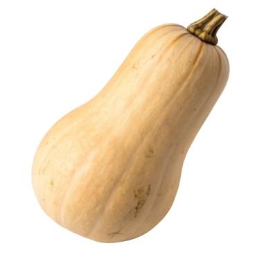 [EVIL MODE] squash icon