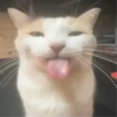 game for silly goofsters icon