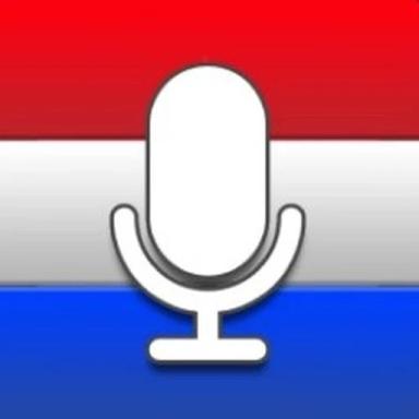 Thumbnail for Dutch Voice Game
