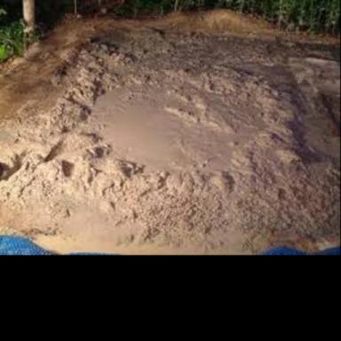 Quicksand Simlator icon