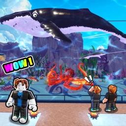 [NEW]Collect Fish🦈 icon